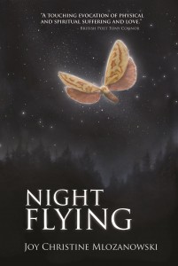 NightFlyingCover