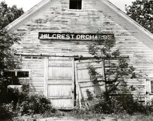 Hillcrest Orchards